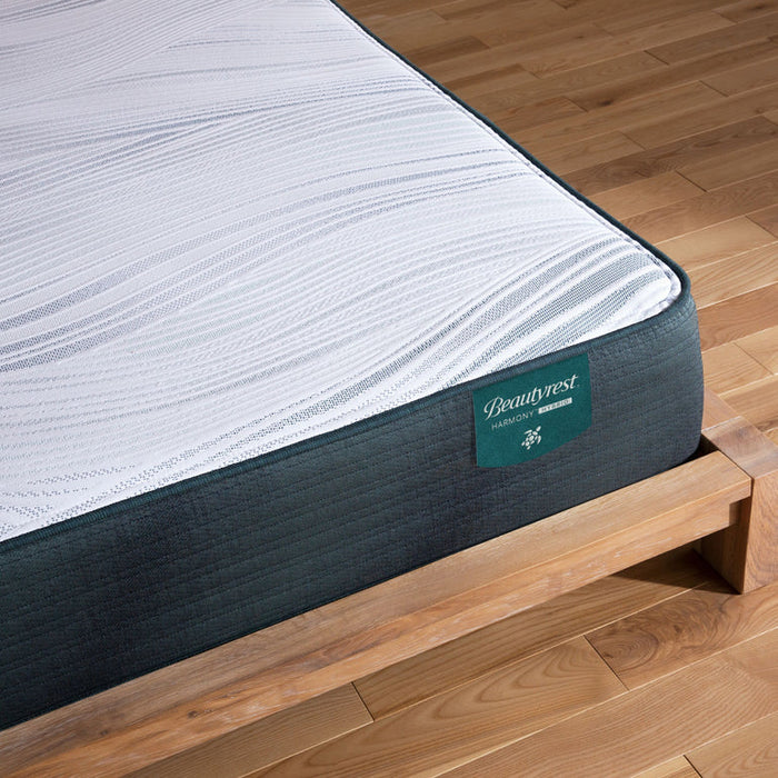 Exceptional Driftwood Bay Plush Mattress