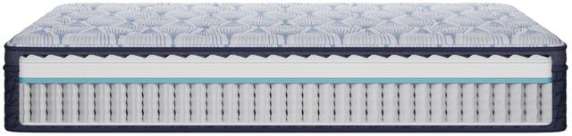 Daylily 14.5" Hybrid Firm Pillow Top Mattress