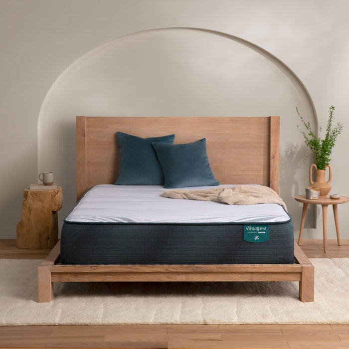 Exceptional Driftwood Bay Plush Mattress